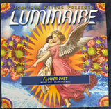 Luminaire - Flower Duet 12” single lp vinyl used