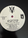 Voice Farm - Hey Freethinker 12" Single LP Vinyl - used