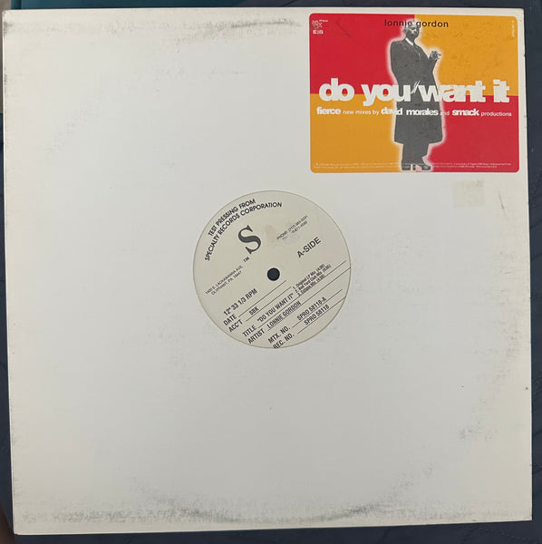 Lonnie Gordon  - Do You Want It (12" Promo test pressing) LP vinyl - Used