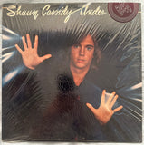 Shaun Cassidy - under wraps LP vinyl used