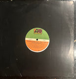 Everything But The Girl - Temperamental 12" Single LP Vinyl - Used