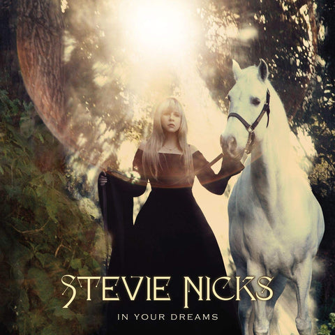 Stevie Nicks - In Your Dreams CD - Used
