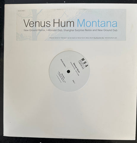 Venus Hum 12”