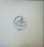 Paul Oakenfold two original 12 inch single LP vinyl ready steady go