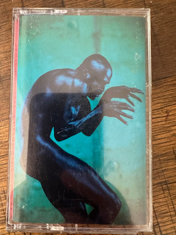 Seal - Human Being cassette