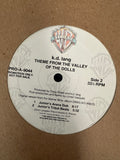 K.D. Lang 12” single LP Vinyl - Them from The Valley of the Dolls (remixes by Jr. Vasquez) Used