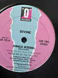 Divine - Shoot Your Shot 12” remix single LP vinyl used