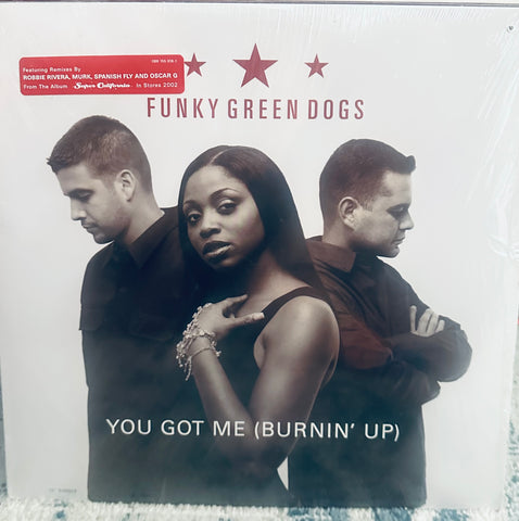 Funky Green Dogs  - you got me (burnin' up)  12" Single (PROMO) LP Vinyl - New