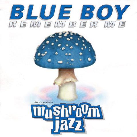 Mushroom Jazz presents Blue Boy - Remember Me (US Maxi CD single) Used