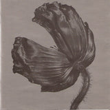 Pet Shop Boys - RELEASE CD - Used