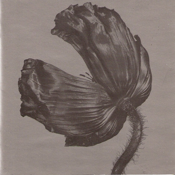 Pet Shop Boys - RELEASE CD - Used