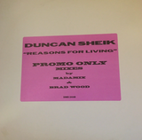 Duncan Sheik – Reasons For Living 12" Promotional remix LP vinyl - Used