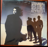 Jellybean ft: Elisa Fiorillo - Who Found Who (12" remix LP Vinyl) used like new