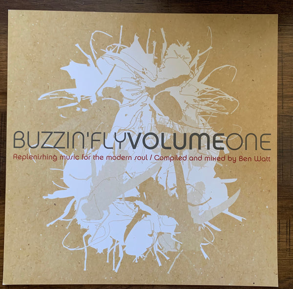 Ben Watt (EBTG) - PROMO FLAT 12x12"  -Buzzin' Fly vol.1   -Used