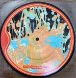 The Flaming Lips - THE YEAH YEAH YEAH Song (45 Record Picture Disc) 7"