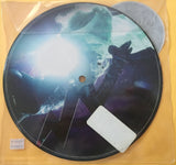 Lady GaGa - Just Dance 7" Picture Disc Vinyl