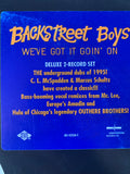 Backstreet Boys - We've Got It Goin' On (2xLP Promo Vinyl) - Used