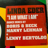 Linda Eder - I AM WHAT I AM (2xLP promo remix Vinyl) - Used