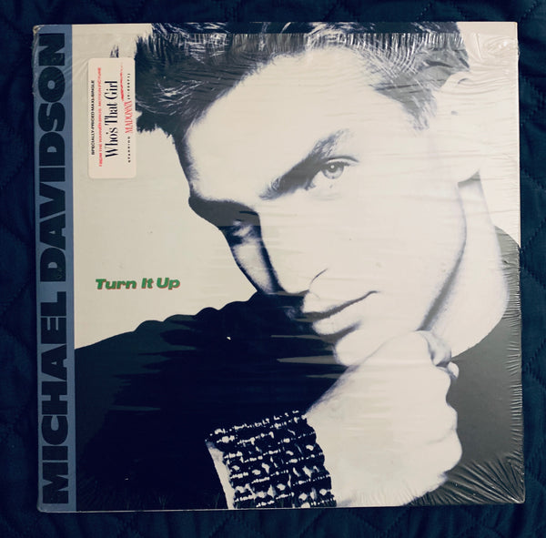 Michael Davidson - TURN IT UP 12" remix LP Vinyl - Used l