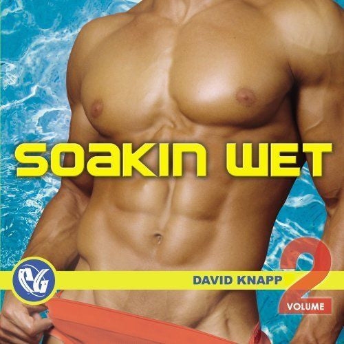 Soakin Wet vol. 2  by DJ David Knapp  (Various: Jody Watley, Chic, Funky Green Dogs++) CD