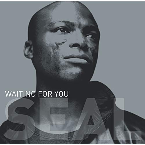 Seal - Waiting For You (USA Maxi CD single) New