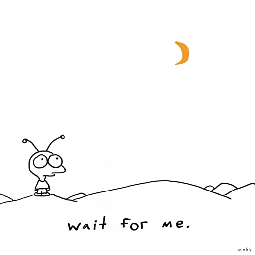 Moby - Wait For Me - Used CD